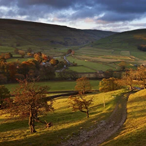 First light on the autumn colours at Arncliffe in Littondale, Yorkshire Dales National Park