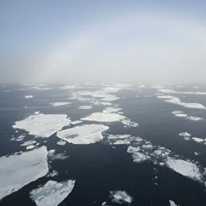 Fogbow over pack ice, Svalbard, Arctic Norway 2010