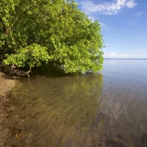 Willaumez Peninsula Forested Coastline Print Willaumez Peninsula Forested Coastline Print