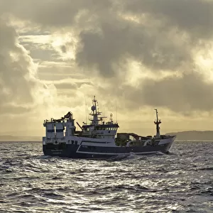 Fraserburgh pelagic trawler Forever Grateful fishing for Atlantic mackerel