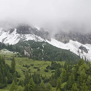 Fresh snow below mountains hidden in clouds with European larch trees (Larix decidua) growing
