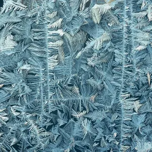 A frost-covered windowpane backlit at sunrise on a cold February morning, New Hampshire, USA A frost-covered windowpane backlit at sunrise on a cold February morning, New Hampshire, USA