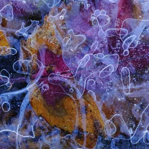 Framed and Canvas Prints plus a lot more: Andres M Dominguez