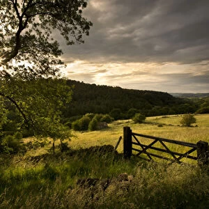 Gate into field of hay meadow in stormy light, Birchover, Peak District National Park
