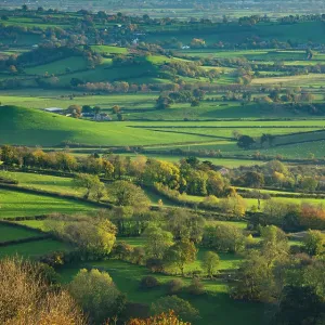 Glastonbury Tor Print, Stoke Camp Reserve View Glastonbury Tor Print, Stoke Camp Reserve View