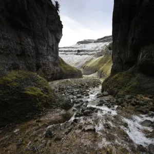 Gorge cut through Carboniferous Limestone, probably a result of a collapsed cave. Gordale Scar