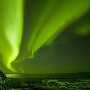 Green Aurora borealis over the Beaufort Sea, seen from the 1002 area of the Arctic