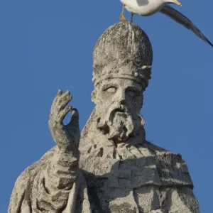 Herring gull (Larus argentatus) taking off from head of statue of St Peter, Vatican City Herring gull (Larus argentatus) taking off from head of statue of St Peter, Vatican City