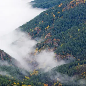 A high view of mist shrouding an autumnal valley. Cadi Natural Park, Catalonia, Barcelona province