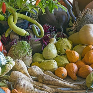Home-grown fruit and vegetables harvested in the autumn. October
