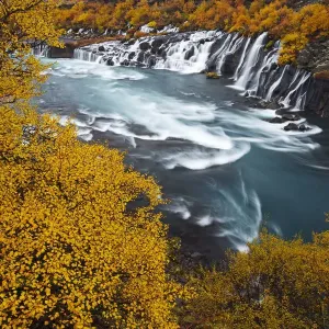 Hraunfossar Waterfall Print, Iceland Autumn Scene Hraunfossar Waterfall Print, Iceland Autumn Scene