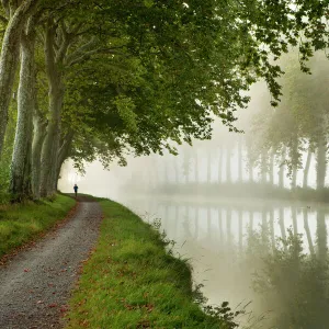 A jogger on the towpath of the Canal du Midi near Castelnaudary, Languedoc-Rousillon, France