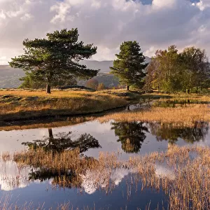 Kelly Hall Tarn, late evening light, The Lake District, Cumbria, UK. October 2016