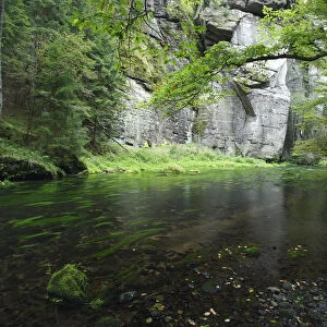 Krinice River flowing past rock face in wood, Dlouhy Dul, Ceske Svycarsko / Bohemian