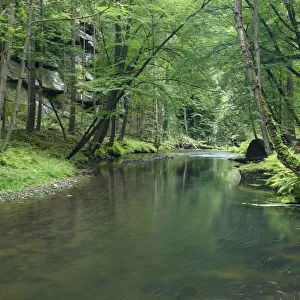 Krinice River flowing through wood with large rocks, Dlouhy Dul, Ceske Svycarsko