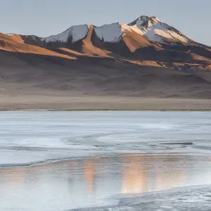 Laguna Hedionda at sunrise, between Polques and Quetena, Altiplano, Bolivia, April 2017 Laguna Hedionda at sunrise, between Polques and Quetena, Altiplano, Bolivia, April 2017