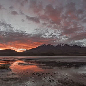 Laguna Hedionda at sunrise, between Polques and Quetena, Altiplano, Bolivia, April 2017