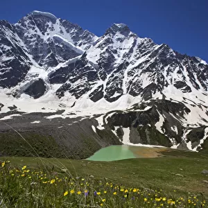 Lake Donguzorun with Mount Donguzorun mountains behind, meadow flowers (Ranunculus sp) Caucasus