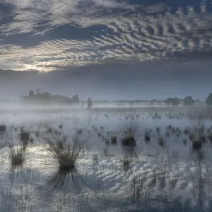 Paisaje de fango y nubes, Klein Schietveld, Brasschaat, Bélgica, mayo 2021. Paisaje de fango y nubes, Klein Schietveld, Brasschaat, Bélgica, mayo 2021.