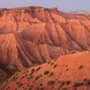 Landscape of Guadix geological depression within Los Colorados desert habitat. Guadix Depression, Andalusia, Spain. October