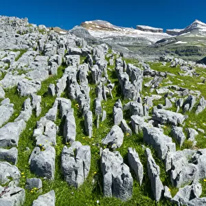 Landscape with limestone pavement, Ordesa y Monte Perdido National Park, Aragon, Spain