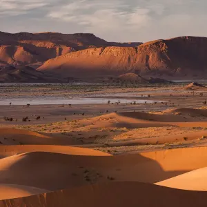 Sahara Desert Landscape Print Sahara Desert Landscape Print