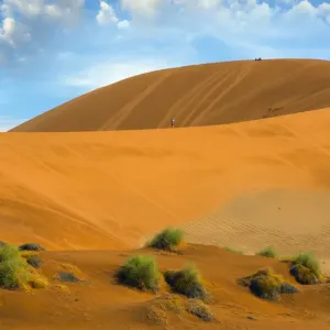 Landscape of Sossusvlei, Namib-Naukluft National Park, Namib Desert, Namibia, March 2017
