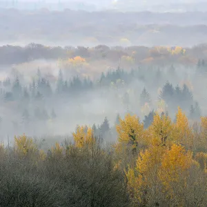 Images Dated 2012 April: 9 Apr 2012