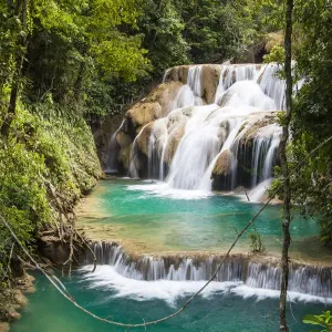 Las Golondrinas Waterfalls Print, 2017 Mexico Rainforest Scene Las Golondrinas Waterfalls Print, 2017 Mexico Rainforest Scene