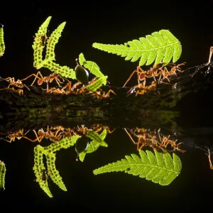 Images Dated 2010 December: 29 Dec 2010