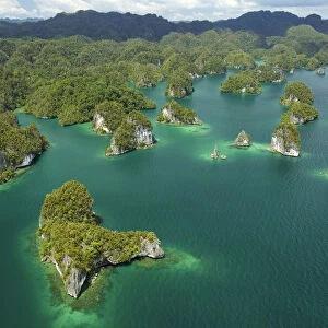 Limestone Islands in the Northern part of Kabui Bay. Waigeo Island at the top, Raja Ampat Islands