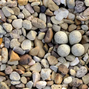 Little ringed plover {Charadrius dubius} nest with four eggs camouflaged on shingle, Lorraine, France