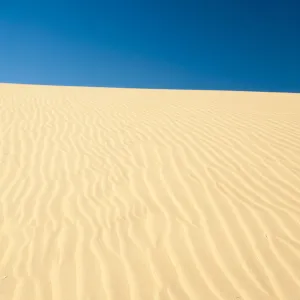 Little Sahara dunes, Seal Bay Conservation Park, Kangaroo Island, South Australia State