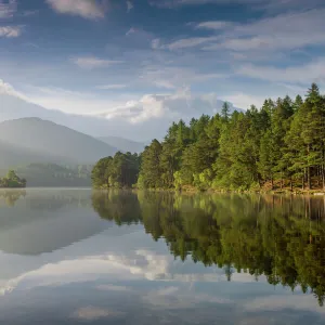 Loch an Eilein with wooded edges in morning sun, Cairngorms National Park, Scotland