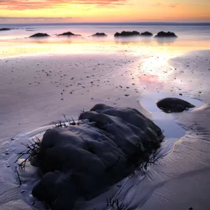Images Dated 2009: January