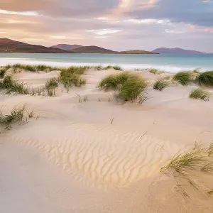 Playa de Luskentyre, hierbas de marram y luz del sol matutina, Isla de Harris, Outer Hebrides, Escocia, Reino Unido. Octubre 2018 Playa de Luskentyre, hierbas de marram y luz del sol matutina, Isla de Harris, Outer Hebrides, Escocia, Reino Unido. Octubre 2018
