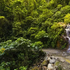 Manu Road Print with Waterfall Manu Road Print with Waterfall