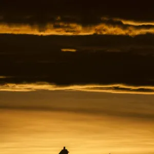 Masai giraffe (Giraffa camelopardalis tippelskirchi) two silhouetted at sunrise