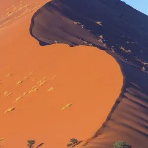 Namib Naukluft National Park Sand Dunes Print Namib Naukluft National Park Sand Dunes Print