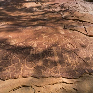 Mesa Verdes Petroglyph Point, Mesa Verde National Park, Unesco World Heritage Site