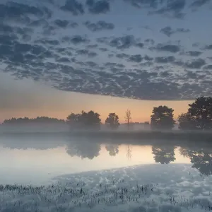 Misty lake at dawn, Klein Schietveld Nature Reserve, Brasschaat, Belgium. July, 2021 Misty lake at dawn, Klein Schietveld Nature Reserve, Brasschaat, Belgium. July, 2021