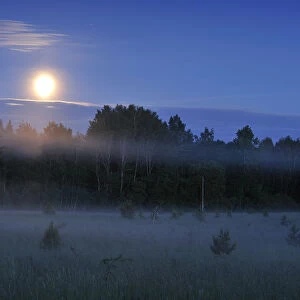 Moon over the Kemeri National Park, Latvia, June 2009