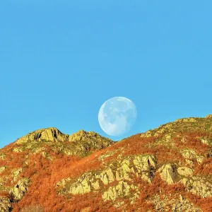 The moon setting over Todd Crag, Ambleside, Lake District, Cumbria, UK. November, 2021 The moon setting over Todd Crag, Ambleside, Lake District, Cumbria, UK. November, 2021