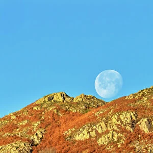 The moon setting over Todd Crag, Ambleside, Lake District, Cumbria, UK. November, 2021