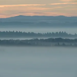 Morning mist over Vosges Mountain, France, October Morning mist over Vosges Mountain, France, October