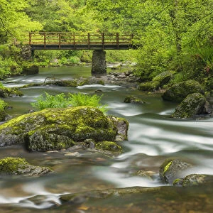 Mossy boulders and wooden bridge over East Lyn River. Exmoor National Park, Devon, UK. May