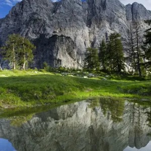 Mount Velika Mojstrovka (2, 056m) reflected in a pool, viewed from Sleme, Triglav National Park Mount Velika Mojstrovka (2, 056m) reflected in a pool, viewed from Sleme, Triglav National Park
