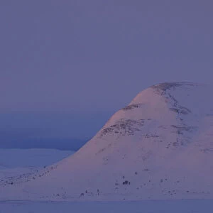Mountain in Dovrefjell National Park, Norway, February 2009