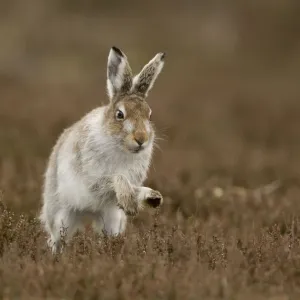 Images Dated 2012 April: 20 Apr 2012