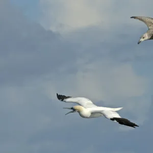 Images Dated 2011 October: 6 Oct 2011
